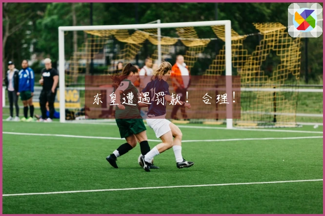 东皇遭遇罚款！合理！